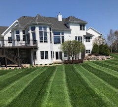 Mower